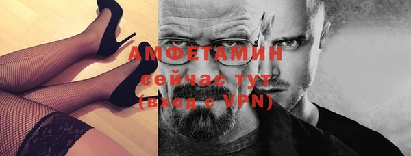 ГАЛЛЮЦИНОГЕННЫЕ ГРИБЫ Гусев