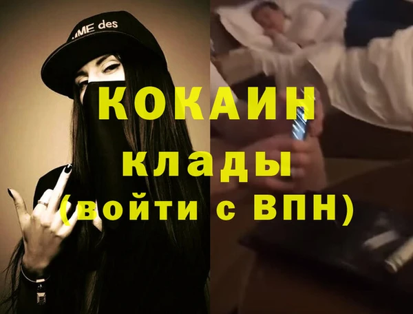 ГАЛЛЮЦИНОГЕННЫЕ ГРИБЫ Гусев
