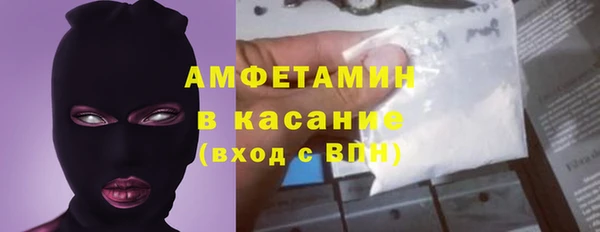 ГАЛЛЮЦИНОГЕННЫЕ ГРИБЫ Гусев