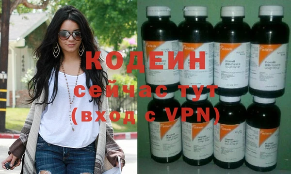 ГАЛЛЮЦИНОГЕННЫЕ ГРИБЫ Гусев