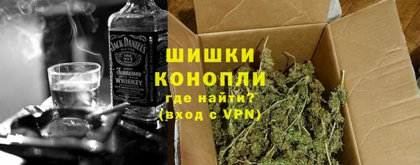 ГАЛЛЮЦИНОГЕННЫЕ ГРИБЫ Гусев