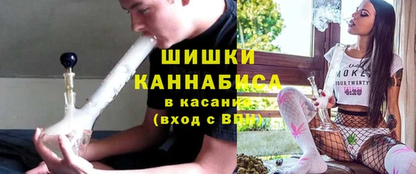 ГАЛЛЮЦИНОГЕННЫЕ ГРИБЫ Гусев