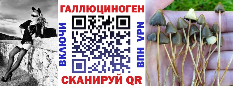 Галлюциногенные грибы мицелий  Донецк 